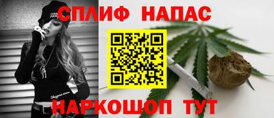 индика Кунгур