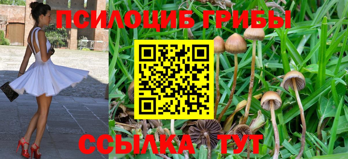 Псилоцибиновые грибы ЛСД Энгельс