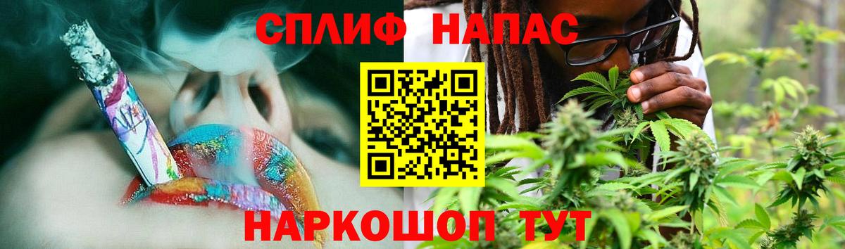 Каннабис сатива Энгельс